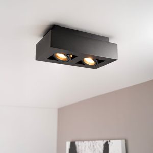 Pollux nero II by LUSENZ – Rechthoekige 2-lichts plafondlamp met richtbare spots, matzwarte coating en interieur